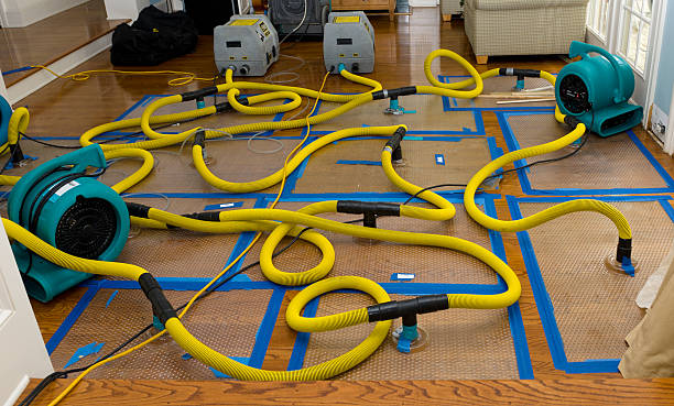 Professional Basement Flood Cleanup technician working in Kaneville, IL